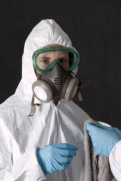 Environmental Consulting for Mold Prevention in Fair Oaks, GA